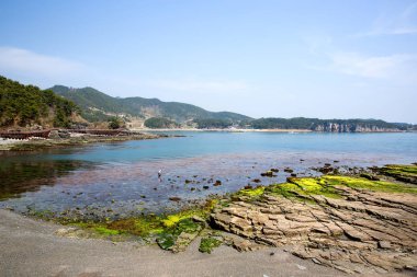 Güney Kore 'nin Goseong İlçesi' ndeki Sangjogam İlçe Parkı 'nda dinozor ayak izi ve tortulu kayalar..