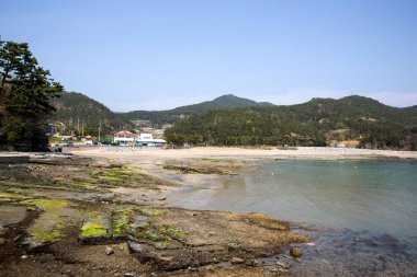 Güney Kore 'nin Goseong İlçesi' ndeki Sangjogam İlçe Parkı 'nda dinozor ayak izi ve tortulu kayalar..