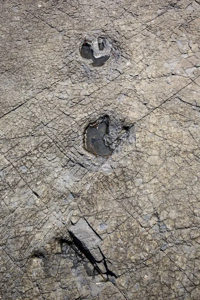 Dinosaur Footprint Sedimentary Rocks Famous Tourist Site Sangjogam County Park — Stock Photo, Image