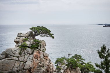 Hajodae Pavyonu denizde ünlü bir turistik yerdir..