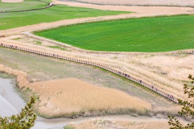 Suncheonman Körfezi dünyadaki en iyi beş sulak alandan biridir..