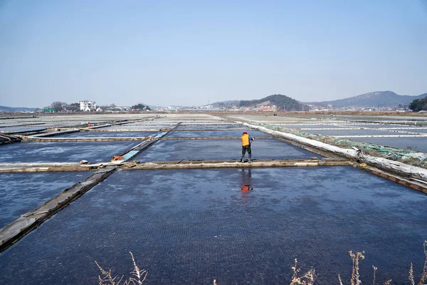 This is salt pond in Korea.