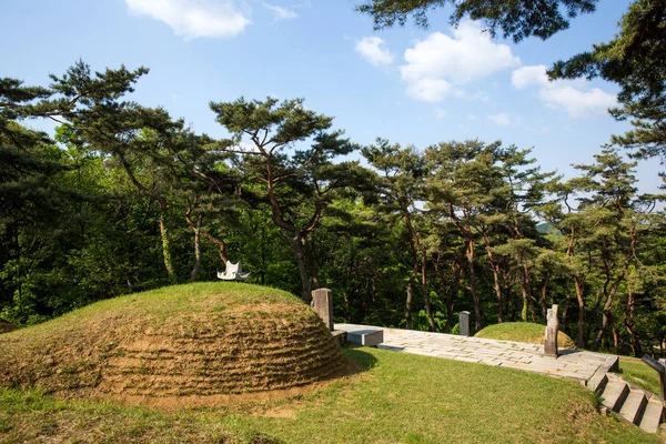 Sitio Histórico Yulgok Paju Corea Del Sur — Foto de Stock