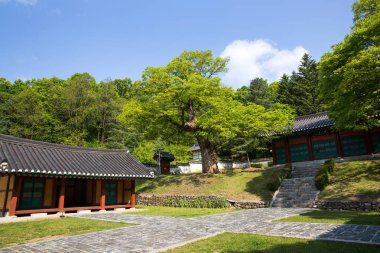 Paju-si, Güney Kore 'deki Yulgok Tarihi Alanı.