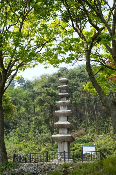 Pagoda Piedra Siete Pisos Del Sitio Del Templo Cheongoksa Jeongeup — Foto de Stock