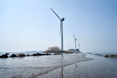 Daebudo Adası ve Nueseom Adası Kore 'nin turistik yerleridir..                               