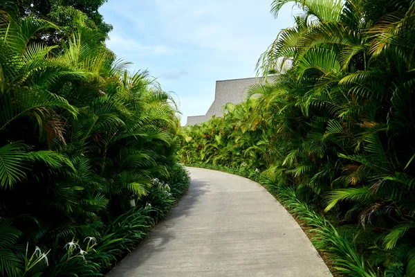 Hermoso Resort Fiji — Foto de Stock