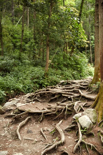 Dasan Hanedanı, Joseon Hanedanlığı döneminde inşa edilmiş bir evdir..