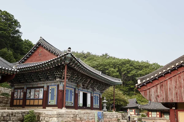 Tempio Baengnyeonsa Gangjin Gun Corea Del Sud — Foto Stock