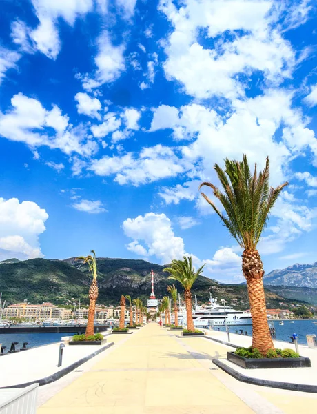 Palmen Schmücken Den Pier Der Modernen Promenade Von Porto Montenegro — Stockfoto