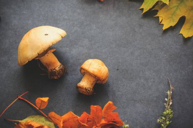 Cadılar Bayramı arifesinde yaprakların sonbahar natürmort