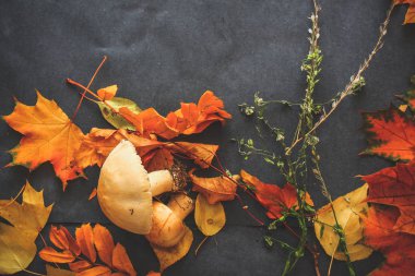 Cadılar Bayramı arifesinde yaprakların sonbahar natürmort