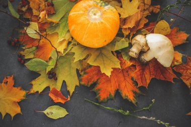 Cadılar Bayramı arifesinde yaprakların sonbahar natürmort