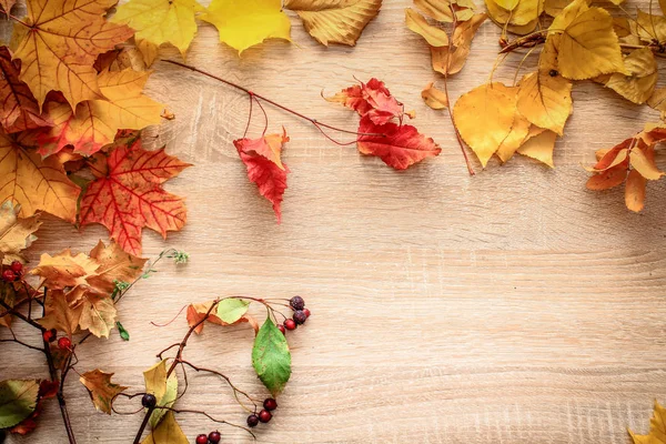 Postal Otoño Bodegón Una Mesa Brillante —  Fotos de Stock