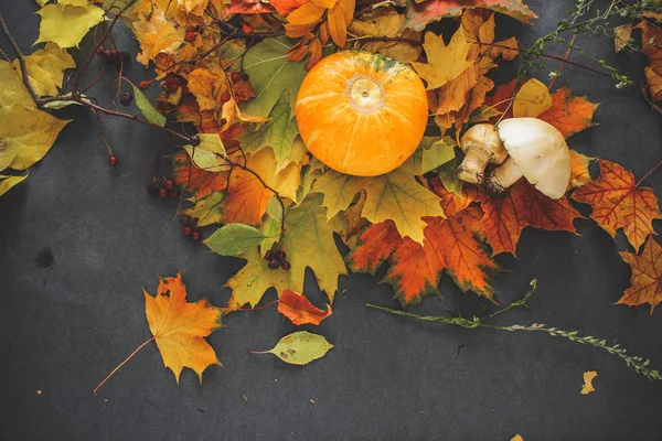Осенний Натюрморт Листьев Накануне Хэллоуина — стоковое фото