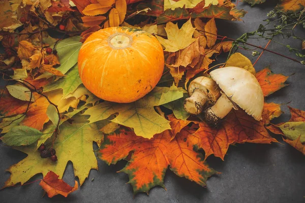 Bodegón Otoño Hojas Víspera Halloween —  Fotos de Stock