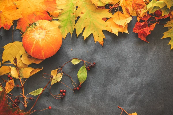 Bodegón Otoño Hojas Víspera Halloween — Foto de Stock