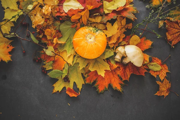 Осенний Натюрморт Листьев Накануне Хэллоуина — стоковое фото