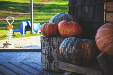 Cadılar Bayramı arifesinde, evin yanında kabak kabak ile dekore edilmiştir