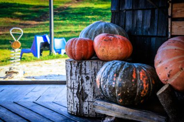 Cadılar Bayramı arifesinde, evin yanında kabak kabak ile dekore edilmiştir