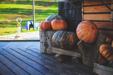 Cadılar Bayramı arifesinde, evin yanında kabak kabak ile dekore edilmiştir