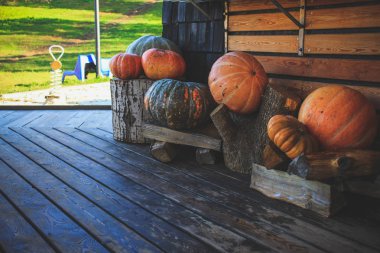 Cadılar Bayramı arifesinde, evin yanında kabak kabak ile dekore edilmiştir