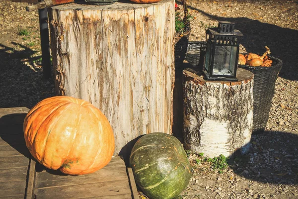 Víspera Halloween Las Calabazas Cerca Casa Están Decoradas Con Calabazas —  Fotos de Stock