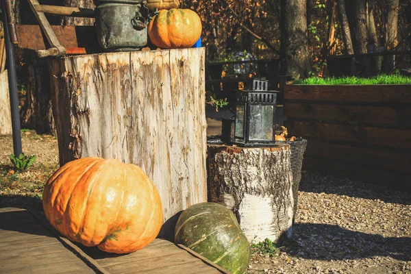 Víspera Halloween Las Calabazas Cerca Casa Están Decoradas Con Calabazas —  Fotos de Stock