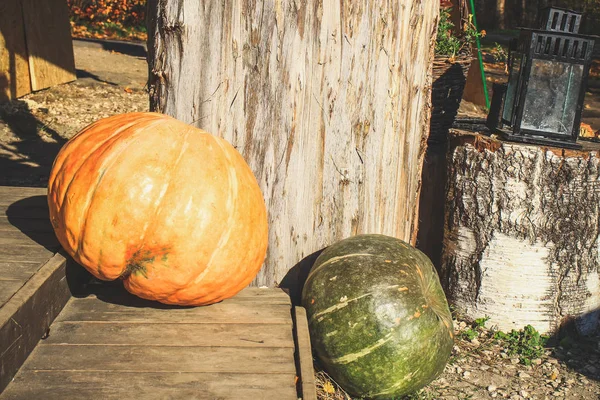 Víspera Halloween Las Calabazas Cerca Casa Están Decoradas Con Calabazas —  Fotos de Stock