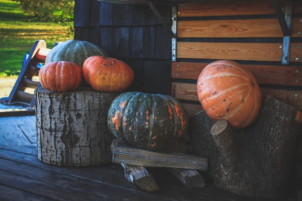 Víspera Halloween Las Calabazas Cerca Casa Están Decoradas Con Calabazas —  Fotos de Stock