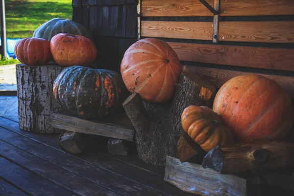 Víspera Halloween Las Calabazas Cerca Casa Están Decoradas Con Calabazas —  Fotos de Stock