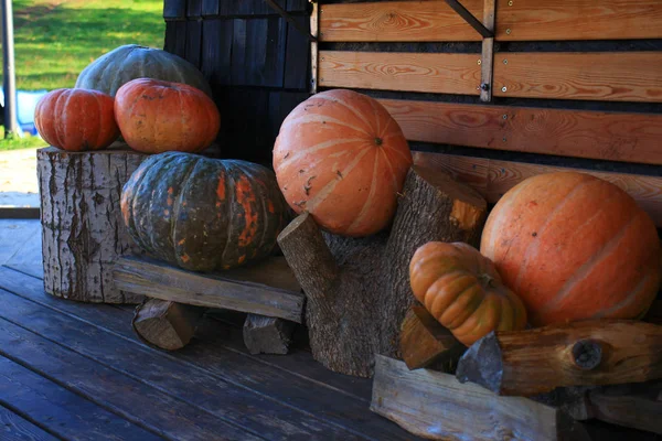 Víspera Halloween Las Calabazas Cerca Casa Están Decoradas Con Calabazas —  Fotos de Stock