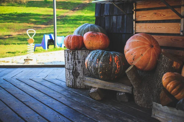 Víspera Halloween Las Calabazas Cerca Casa Están Decoradas Con Calabazas —  Fotos de Stock