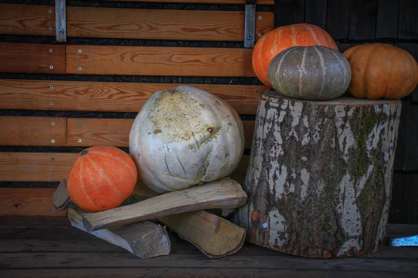 Eve Halloween Pumpkins House Decorated Pumpkins — Stock Photo, Image