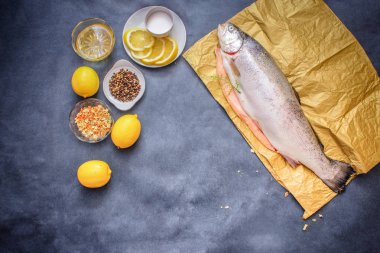 Çiğ balık ile baharat. RAW ağır Kraft kağıt üzerinde gri bir masa üstü limon böyle çiğ balık yağı tuz ile limon dilimleri baharat biber.