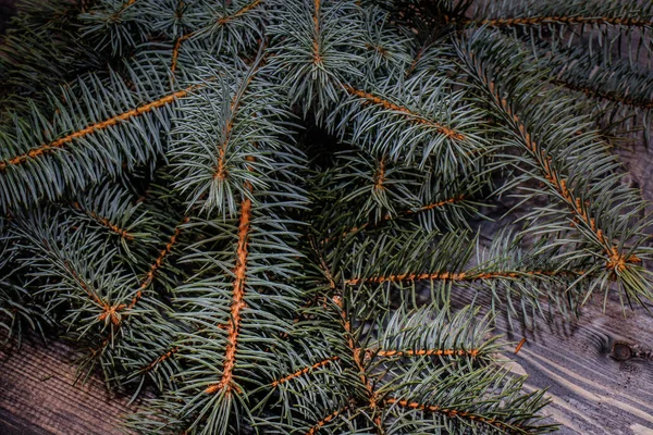 Färsk Gran Kvistar Grå Träbord Plankor Som Gran Kvistar Som — Stockfoto