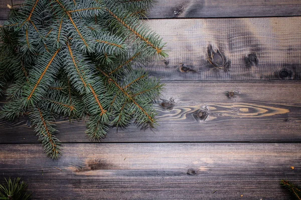 Ramitas Abeto Fresco Mesa Gris Madera Tablones Sobre Los Que — Foto de Stock