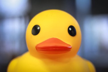 yellow rubber toy duck with orange beak on a blurred background  clipart