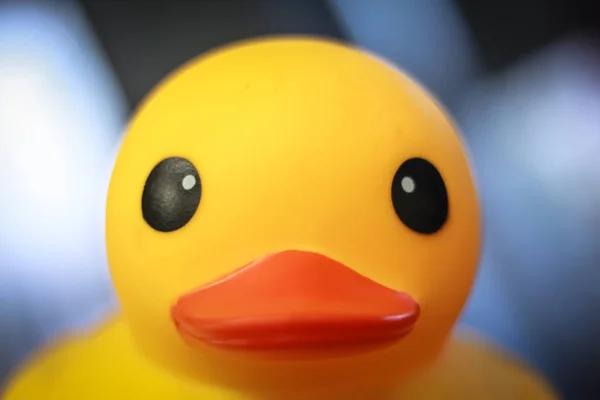 yellow rubber toy duck with orange beak on a blurred background