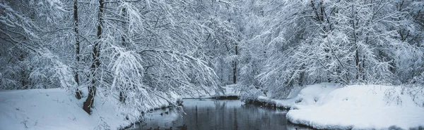 Invierno panorama de bosque envuelto en nieve río y patos — Foto de Stock