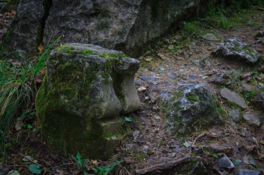 Yosun kaplı eski harabelerin taşları.