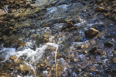 Ormanda akan bir dere..