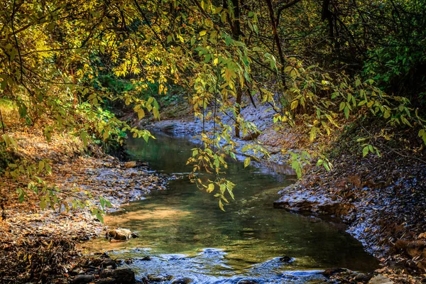 Un arroyo que fluye a través del bosque . —  Fotos de Stock