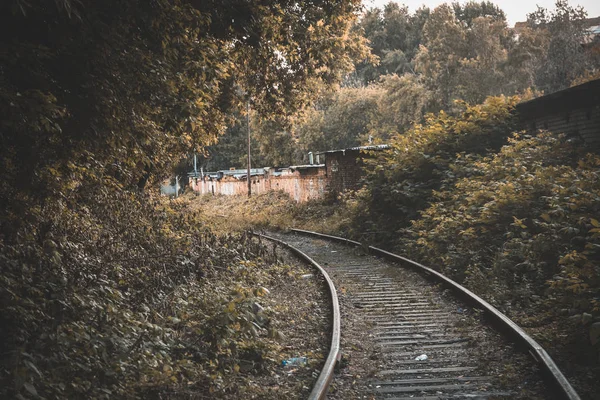 Camino del bosque de otoño está cubierto de hojas amarillas, el camino va —  Fotos de Stock