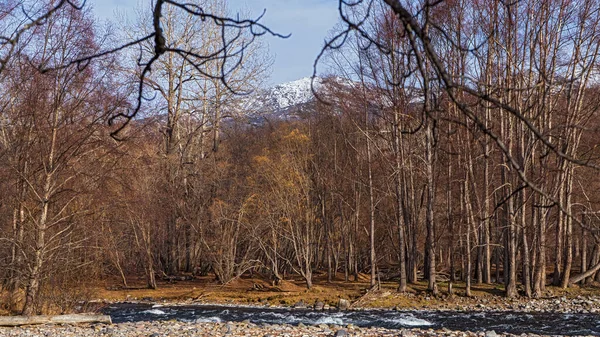 カムチャツカの美しい秋 ロシアだ エッソ — ストック写真