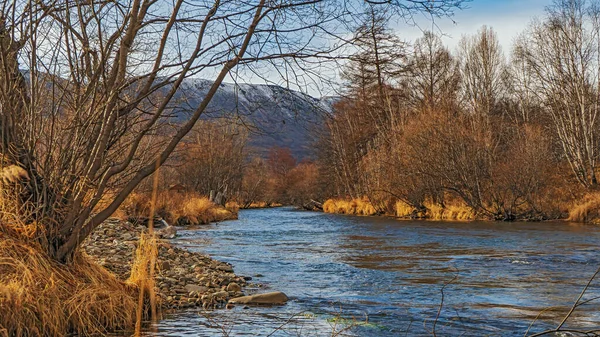 カムチャツカの秋の風景 ロシアだ エッソ — ストック写真