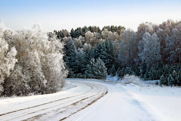 Kış ormanı kışlık palto giymiş. Her dalda bir buz tabakası ve belirli bir mucize yaratıyor. Yumuşak kar ve yol sola, ormana doğru dönüyor..