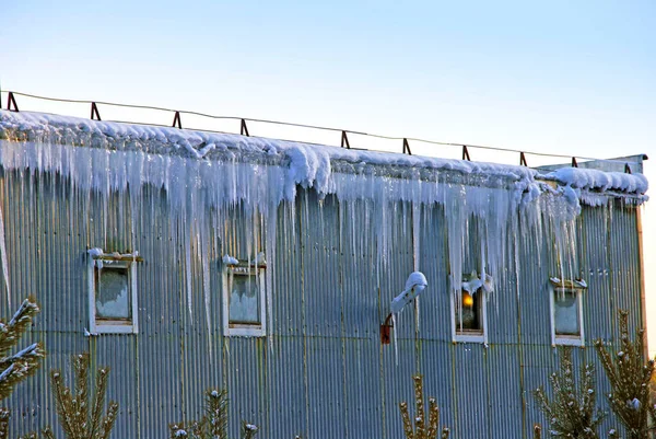 Çelik bir karavan ve buz sarkıtları çatıdan sarkan donmuş bir şelale gibi. Dört pencereden birinin ışığı yanıyordu. Etrafında küçük tomurcuklar yetişir..