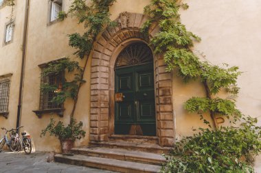 big ancient door with plants in old city, Pisa, Italy  clipart