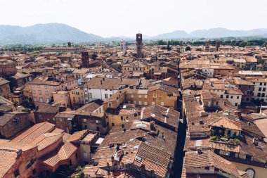 Antik havadan görünümü eski şehir, Pisa, İtalya çatılar 